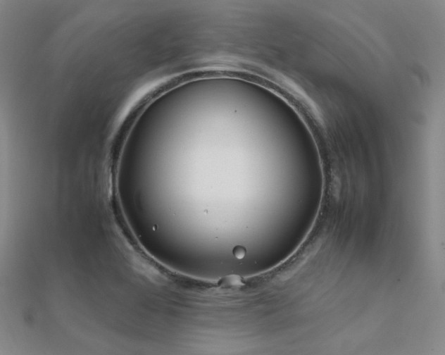 X0000112371368200908131508