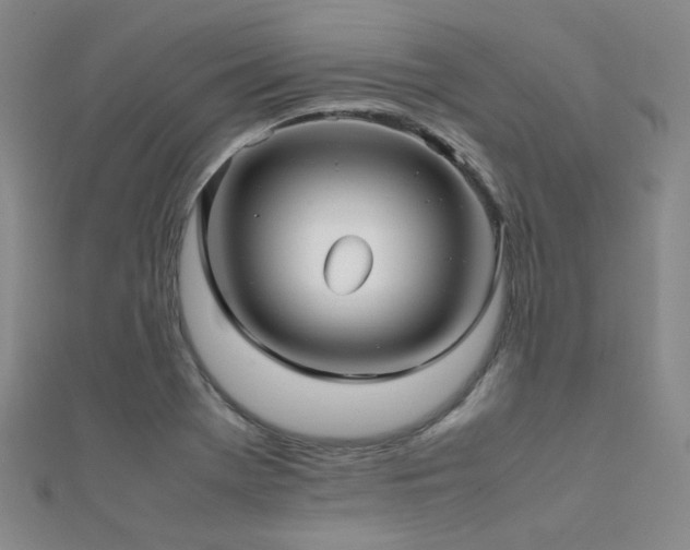 X0000112371369200908131508