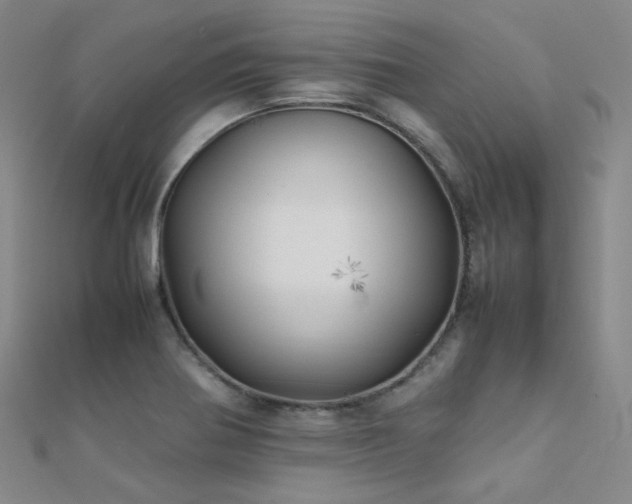 X0000112371370200908131508