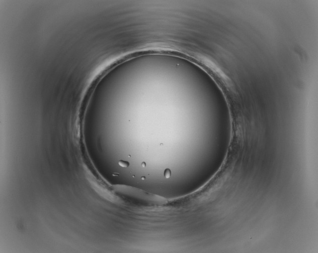 X0000112371372200908131508