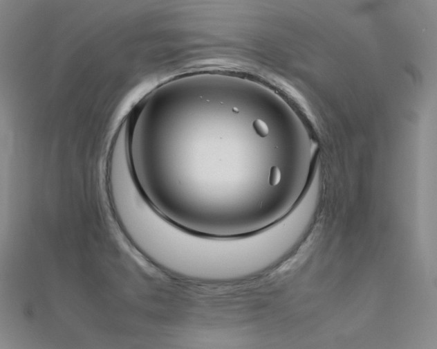 X0000112371373200908131508