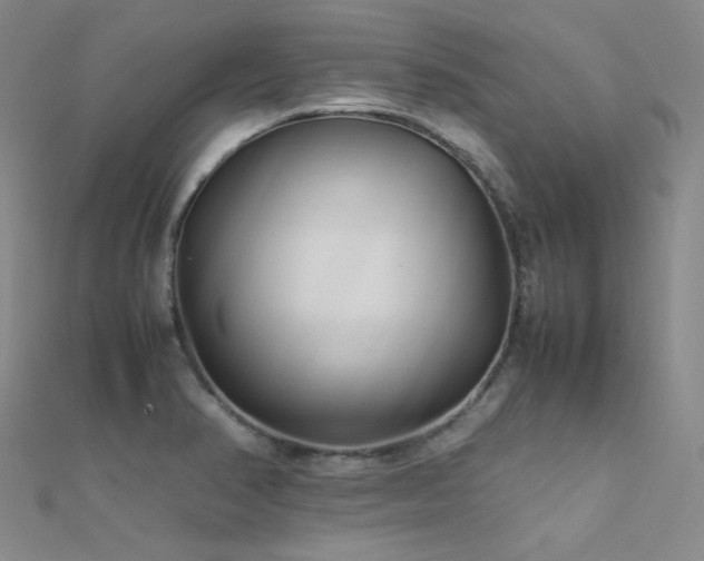 X0000112371374200908131508
