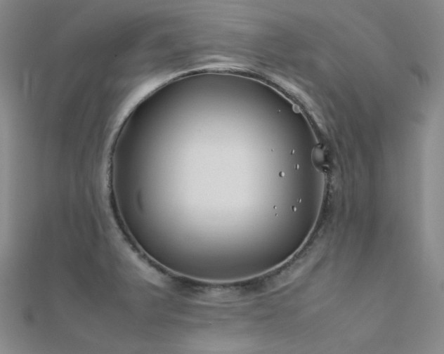 X0000112371375200908131508