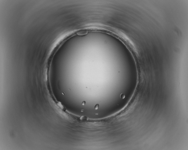 X0000112371376200908131508
