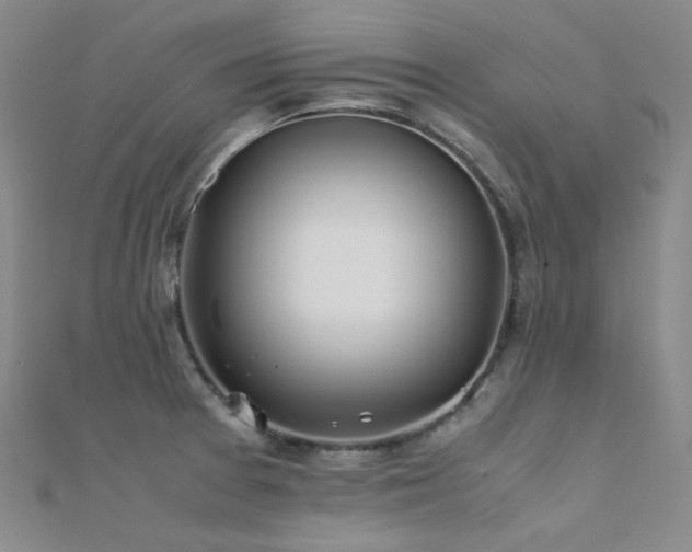 X0000112371377200908131508