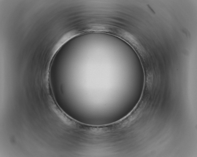 X0000112371378200908131508