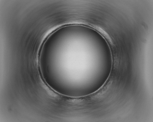 X0000112371380200908131508