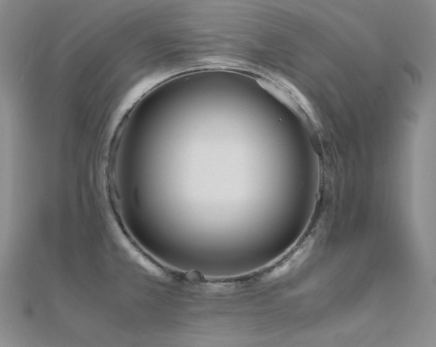 X0000112371381200908131508