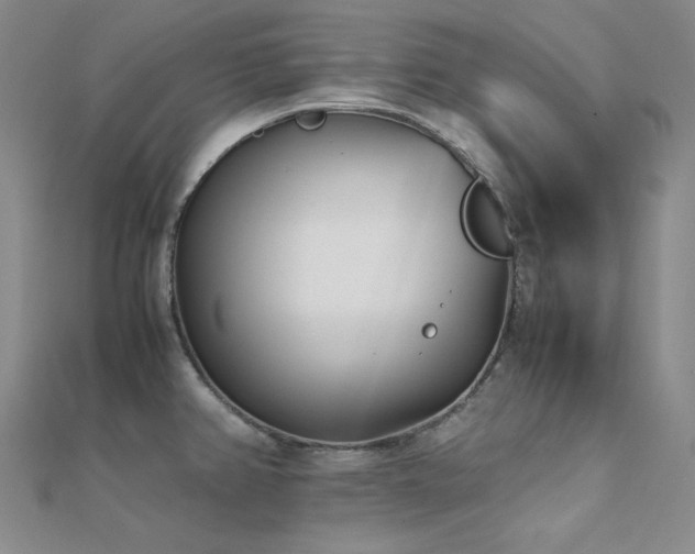 X0000112371382200908131508