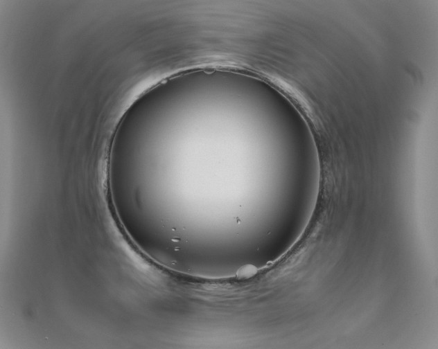 X0000112371383200908131508