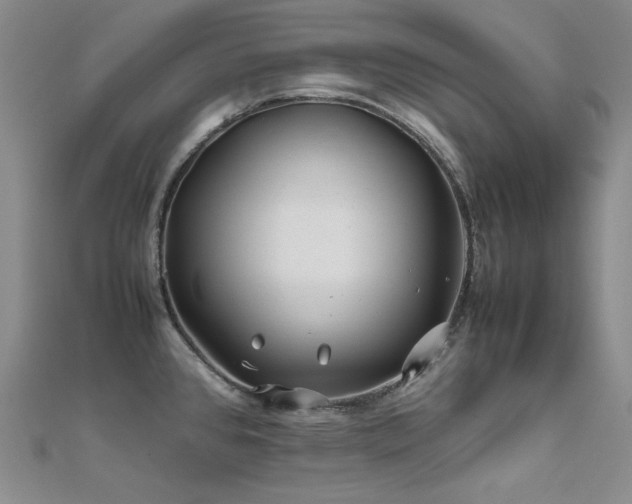 X0000112371384200908131508