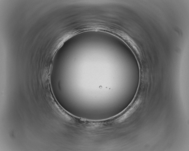 X0000112371385200908131508