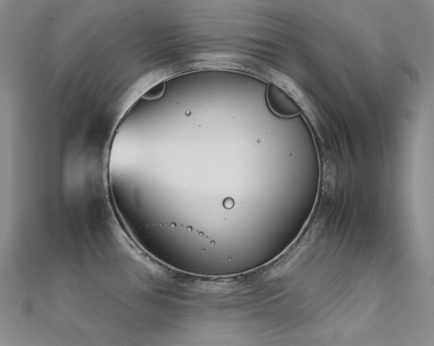 X0000112371386200908131508