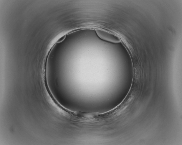 X0000112371387200908131508