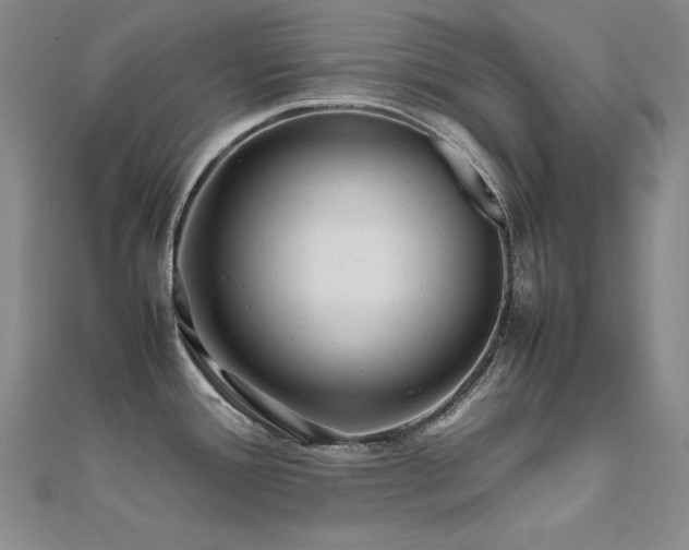 X0000112371388200908131508