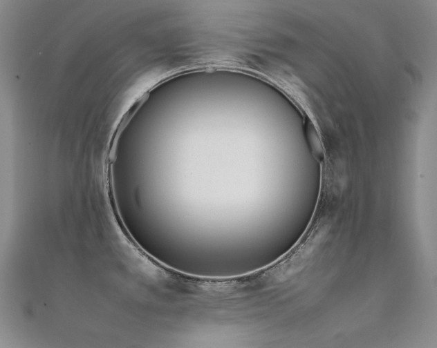 X0000112371389200908131508
