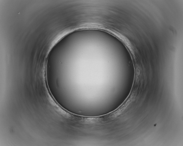 X0000112371390200908131508