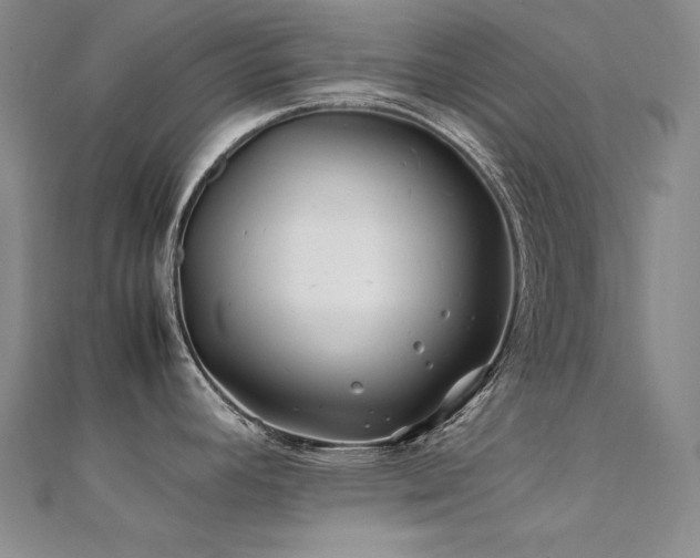 X0000112371392200908131508
