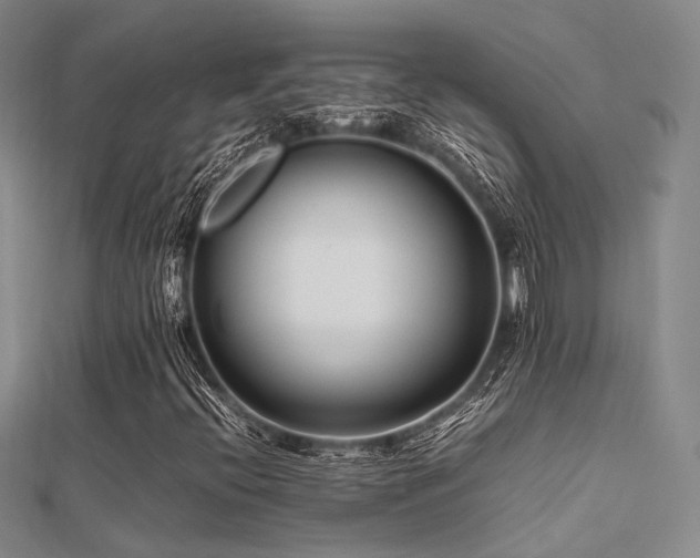 X0000112371396200908131507