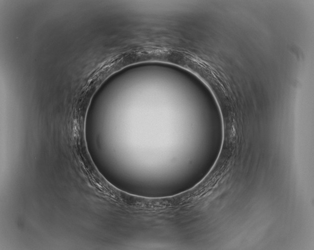 X0000112371397200908131507