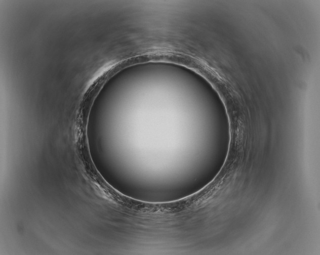 X0000112371400200908131507