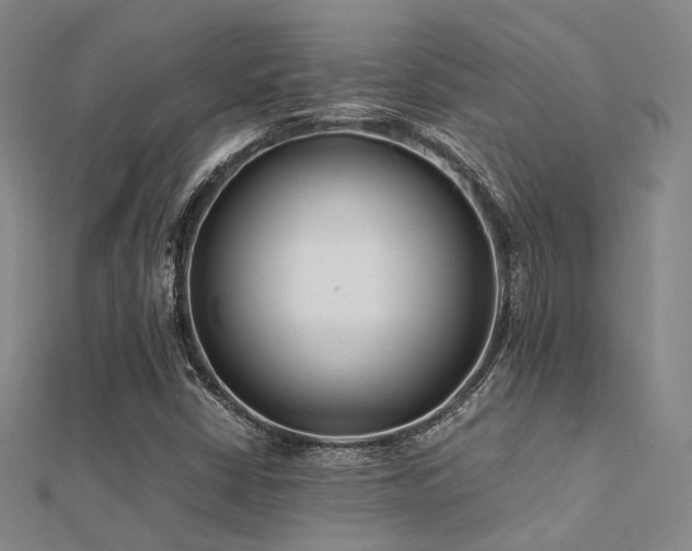 X0000112371402200908131507