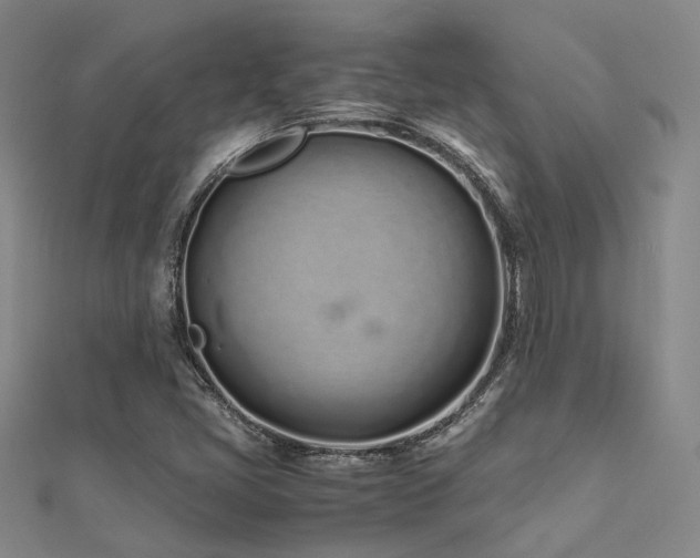 X0000112371405200908131507