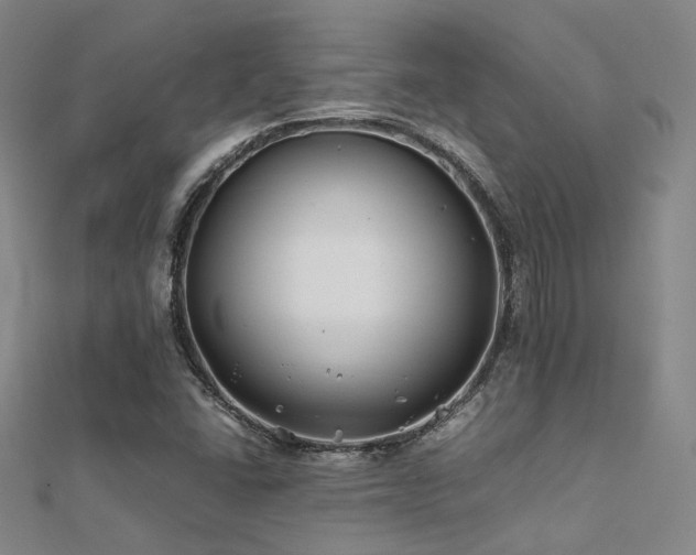 X0000112371406200908131507