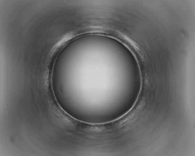 X0000112371411200908131507