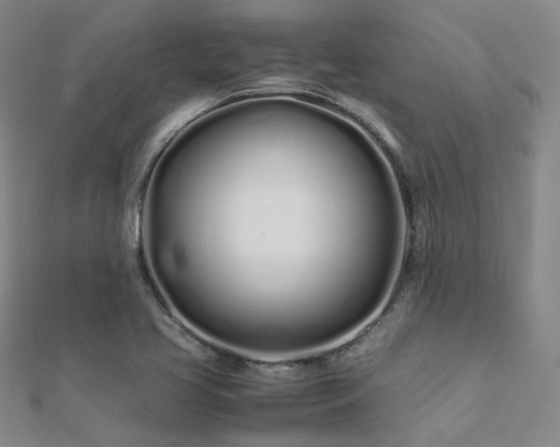 X0000112371413200908131507