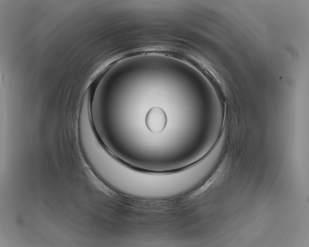 X0000112371417200908131507