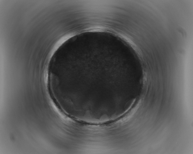 X0000112371418200908131507