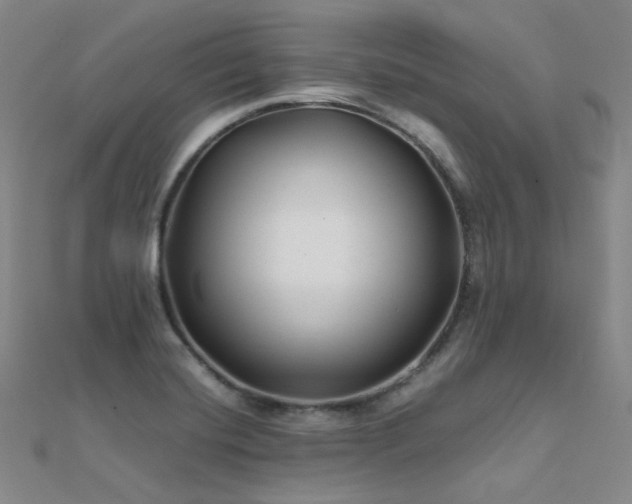 X0000112371420200908131507