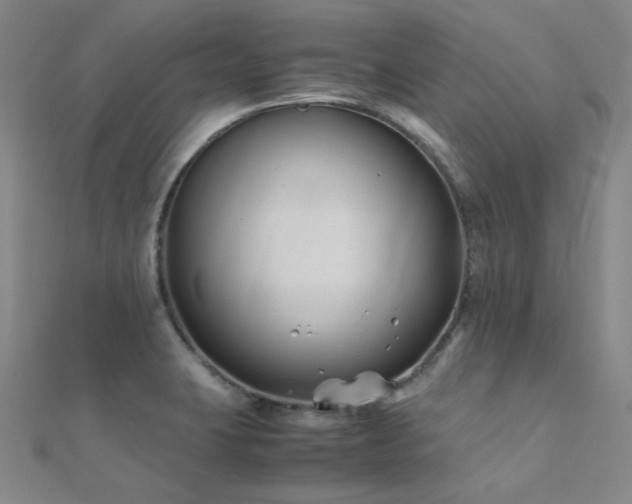 X0000112371423200908131508