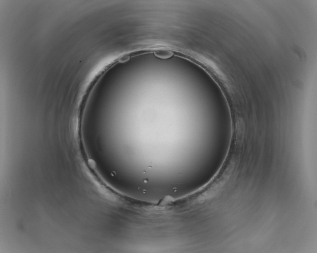 X0000112371424200908131508