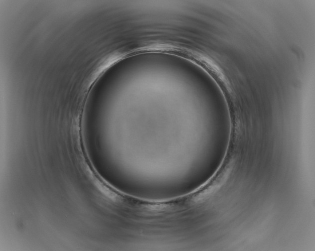 X0000112371425200908131508