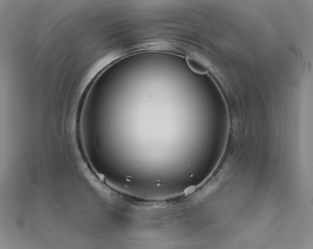 X0000112371426200908131508