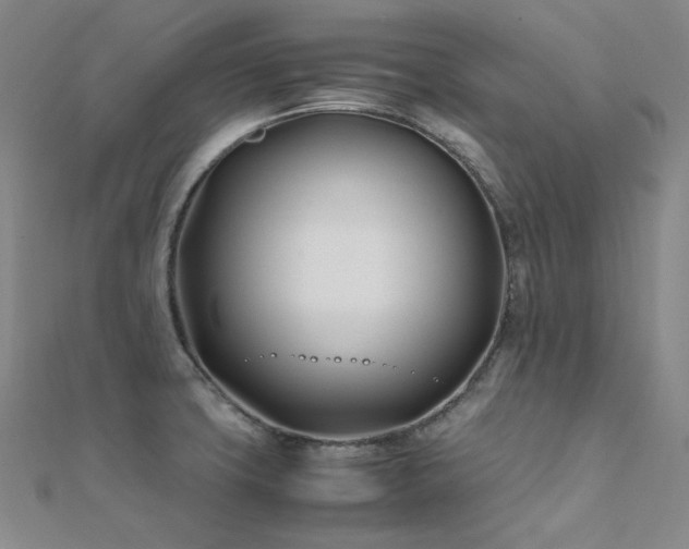 X0000112371427200908131508