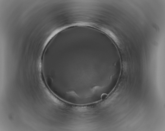 X0000112371428200908131508