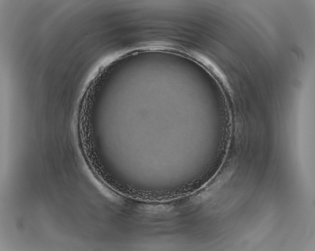 X0000112371429200908131508