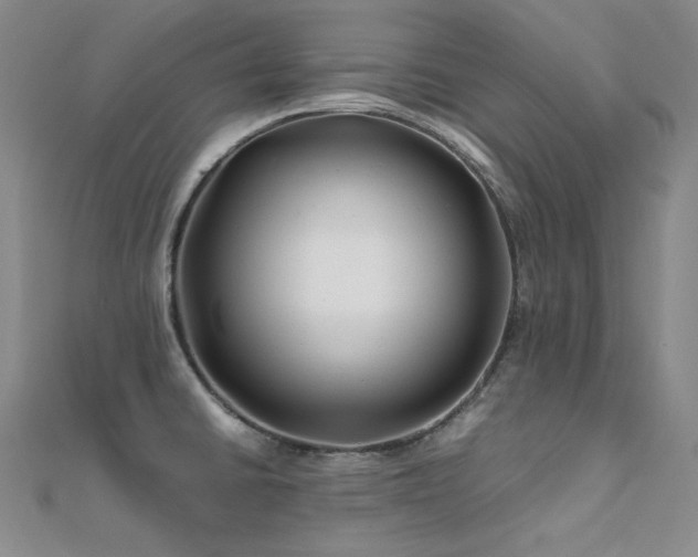 X0000112371430200908131508