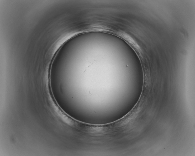 X0000112371431200908131508