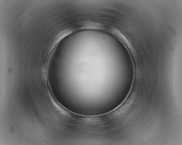X0000112371433200908131508