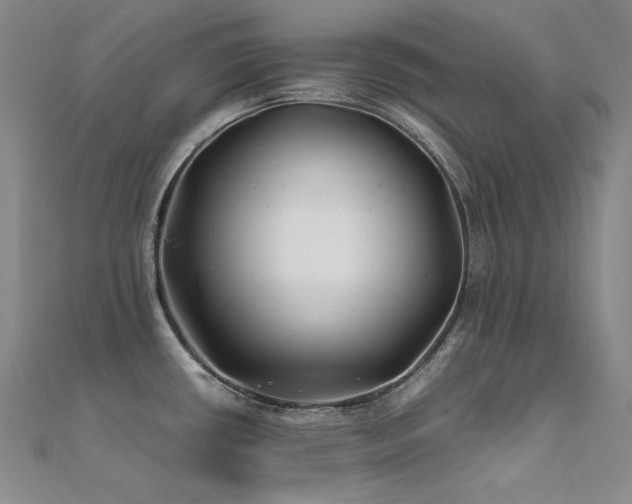 X0000112371434200908131508