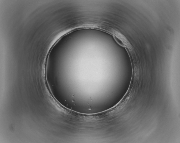 X0000112371436200908131508