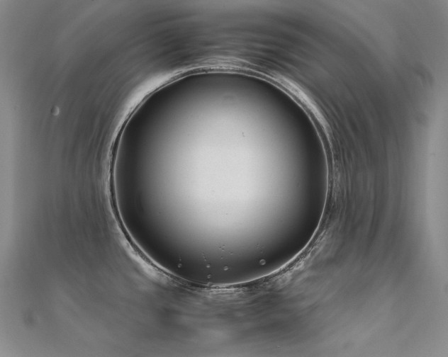 X0000112371437200908131508