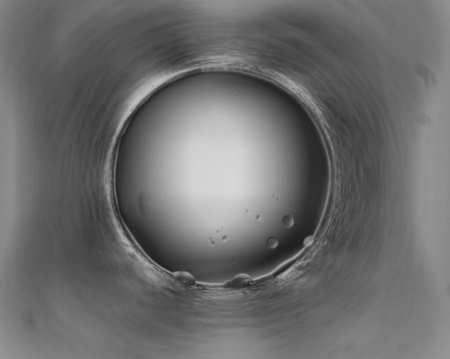 X0000112371440200908131508