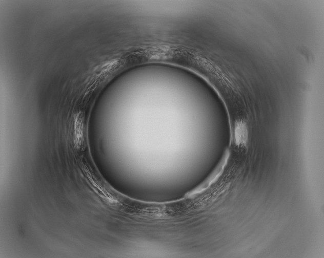 X0000112371444200908131507