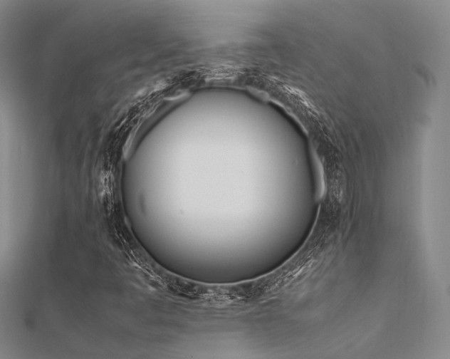 X0000112371445200908131507