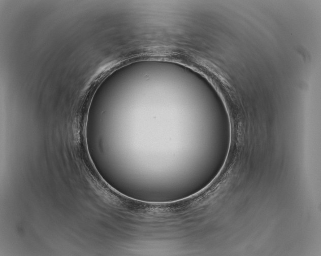 X0000112371451200908131507